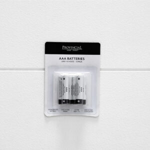 AAA Battery 6 Pack
