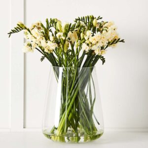 Bertha Vase