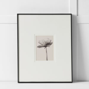 Blooming Print 40x50