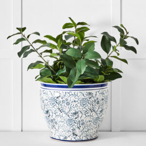 Blossom Planter L