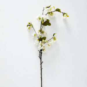 Blossom Stem