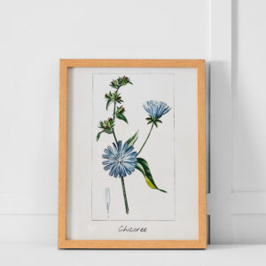 Chicoree Print 36x46