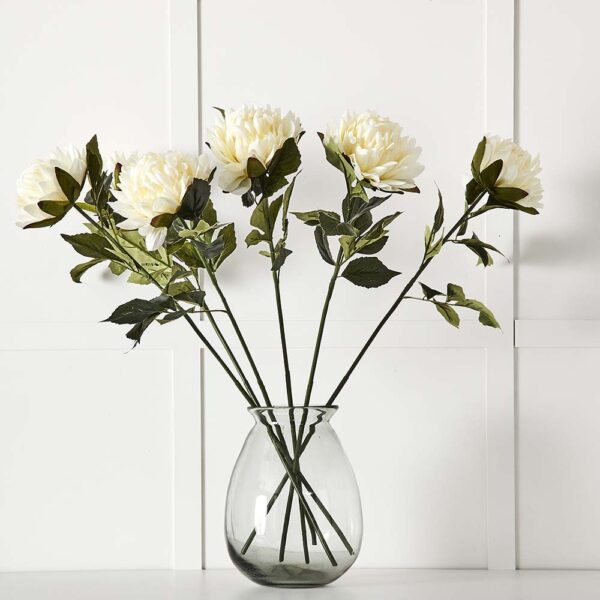 Dahlia Flower Stem