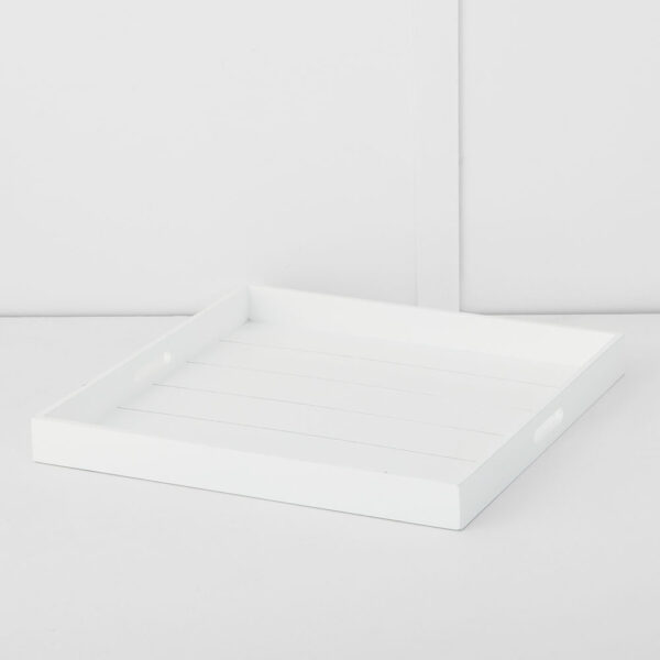 Darwin Tray S