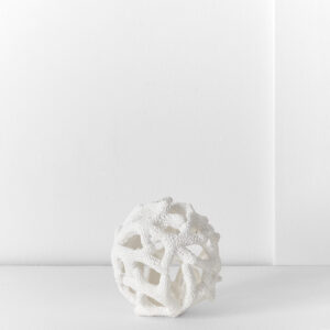 Ecology Reef Ball