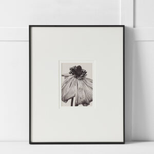 Filament Print 40x50