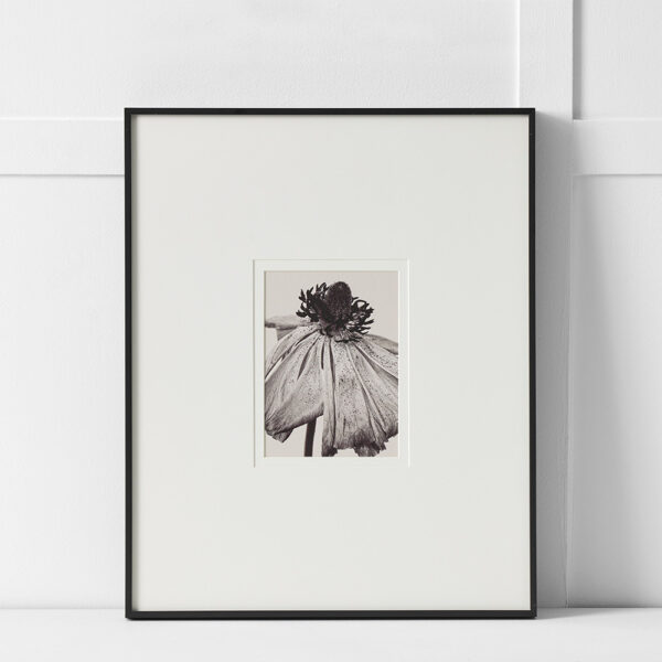 Filament Print 40x50