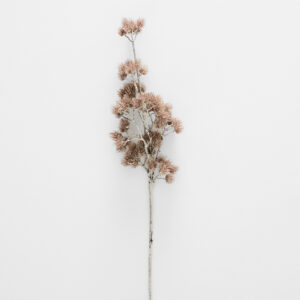 Flowering Gum Stem