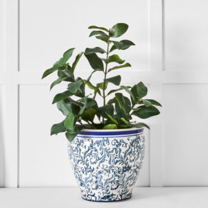 Harmony Planter M