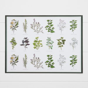 Harper Herbs Placemat 30 Pk