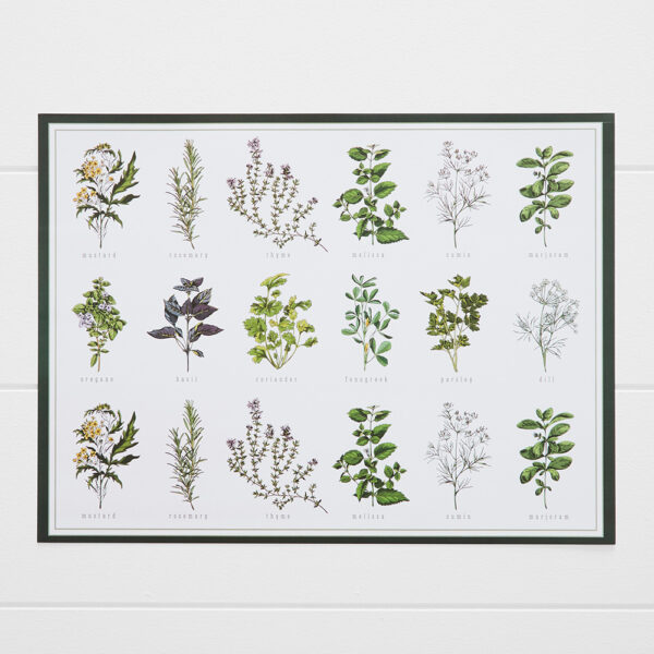 Harper Herbs Placemat 30 Pk
