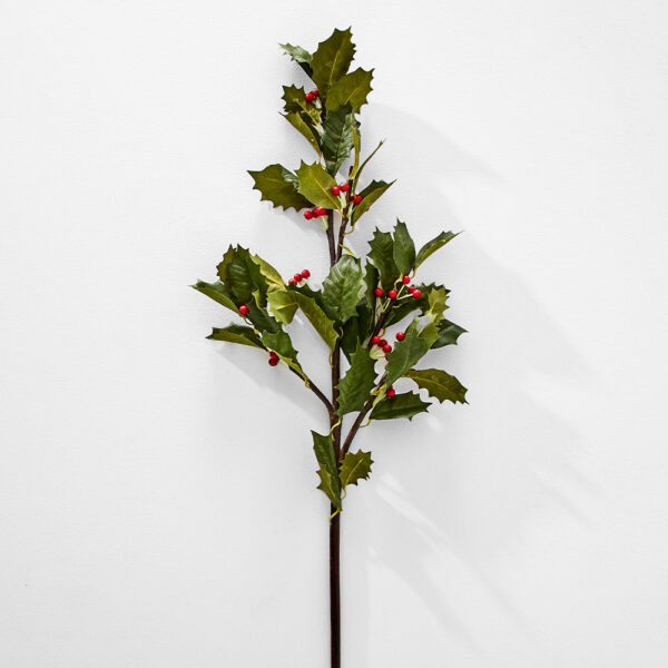 Holly Stem