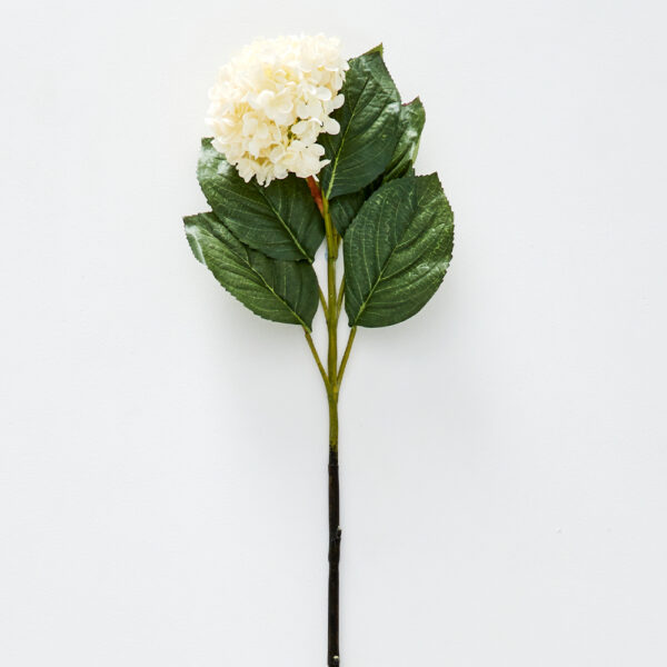 Hydrangea Flower Stem