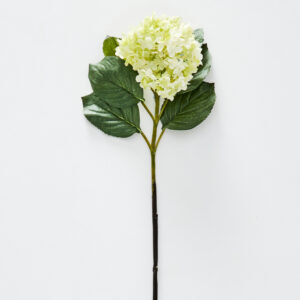 Hydrangea Flower Stem