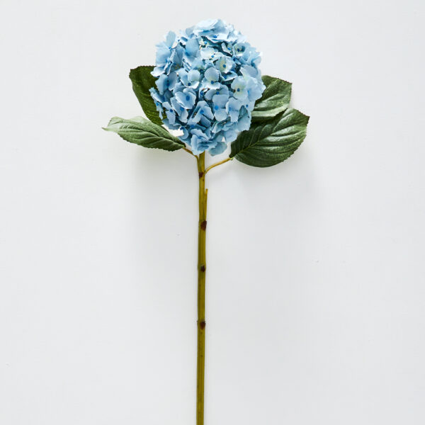 Hydrangea Flower Stem
