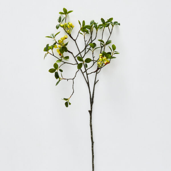 Laurel Berry Stem