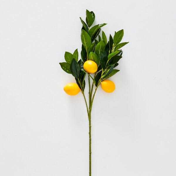 Lemon Stem
