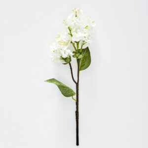 Lilac Stem