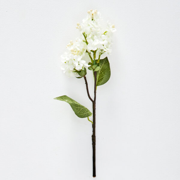 Lilac Stem