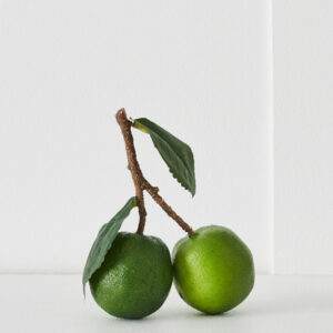 Lime Stem