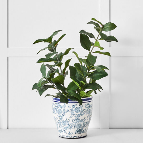 Moonflower Planter S