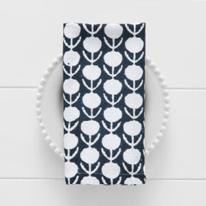 Nikita Napkin