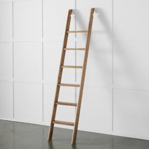 Obernai Library Ladder