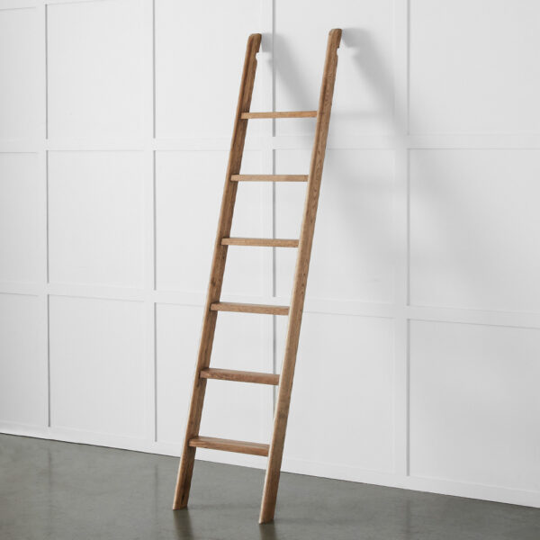 Obernai Library Ladder