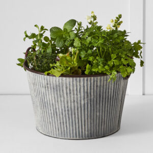 Palmer Tub L