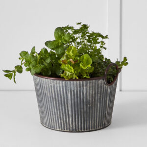 Palmer Tub M