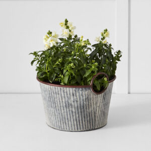 Palmer Tub S