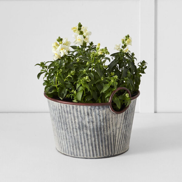 Palmer Tub S