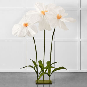 Peony Flower Spring Trio