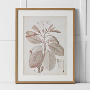 Plumeria Perfection Print 60x76