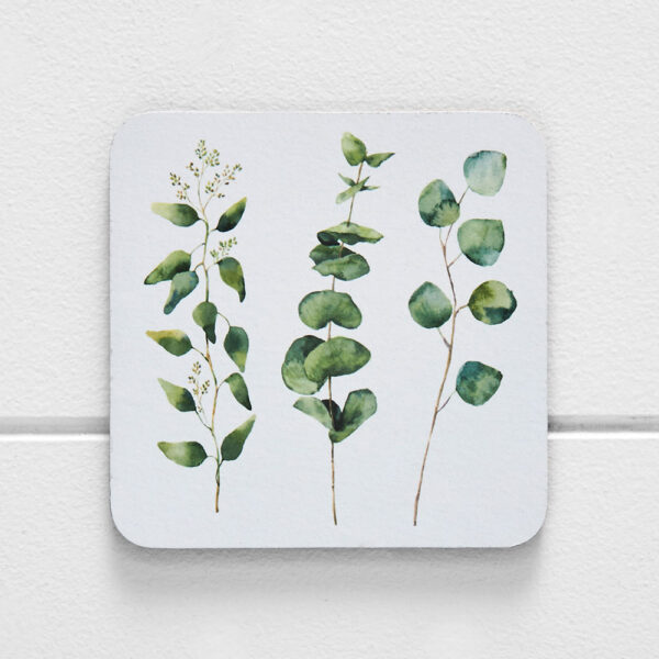 Porter Eucalypt Coaster