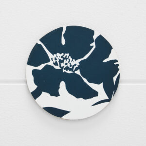 Porter Hawaii Coaster