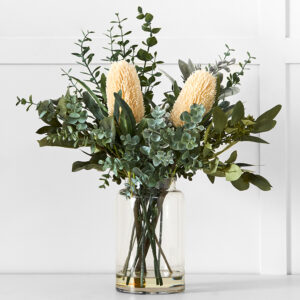 Protea Eucalypt Potted Flower M