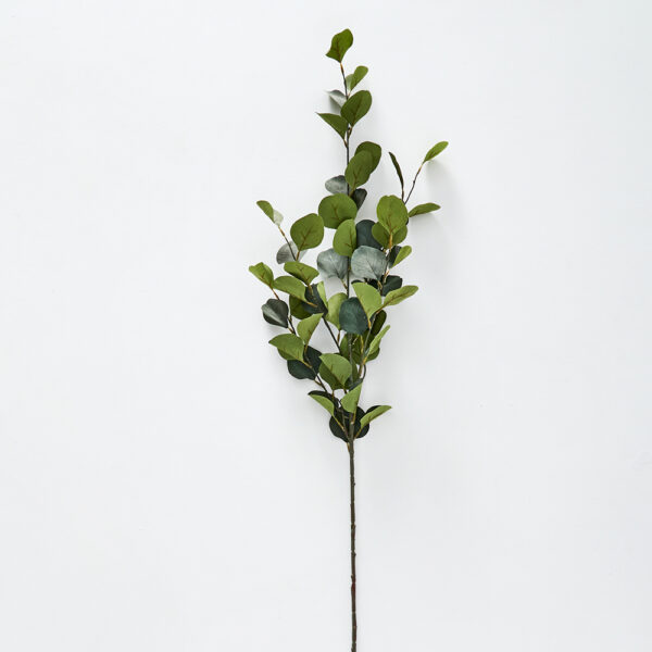 Silver Eucalypt Foliage