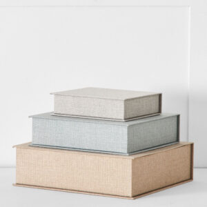 Silver Mist Book Box Set