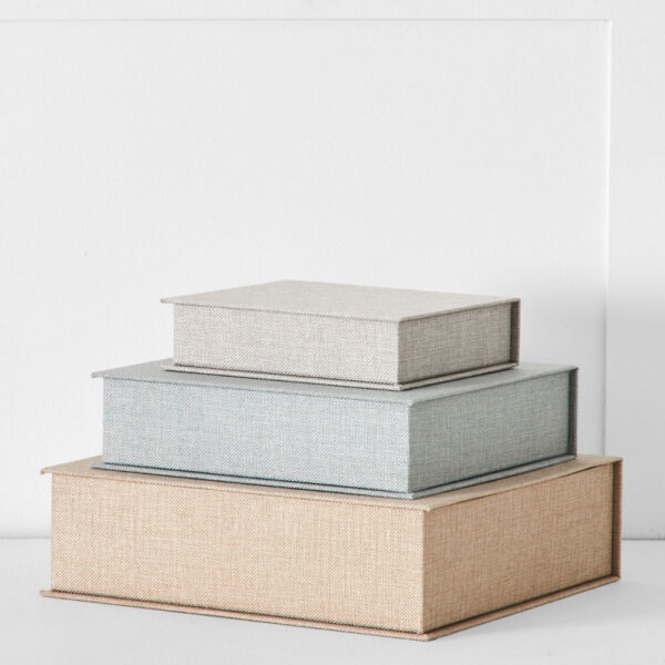 Silver Mist Book Box Set