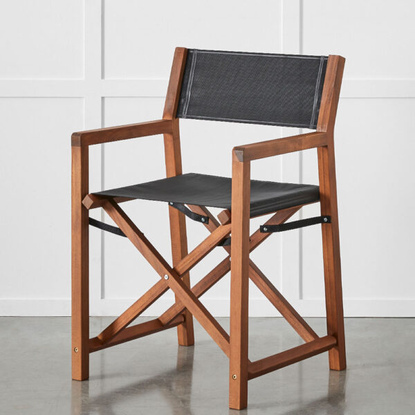 Soho Director's Chair