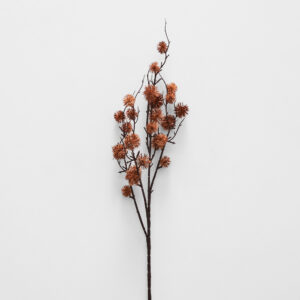 Sycamore Spray