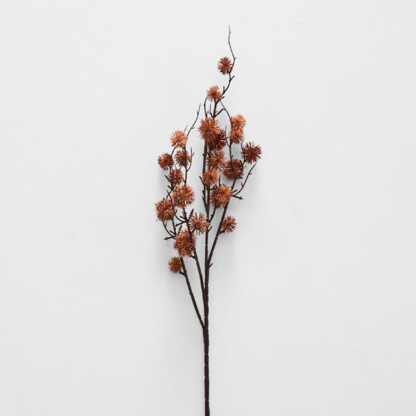 Sycamore Spray