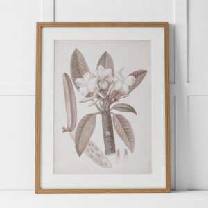 Tahitian Charm Print 60x76