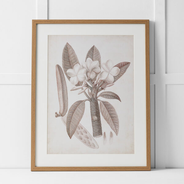 Tahitian Charm Print 60x76
