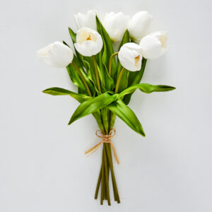 Tulip Bunch
